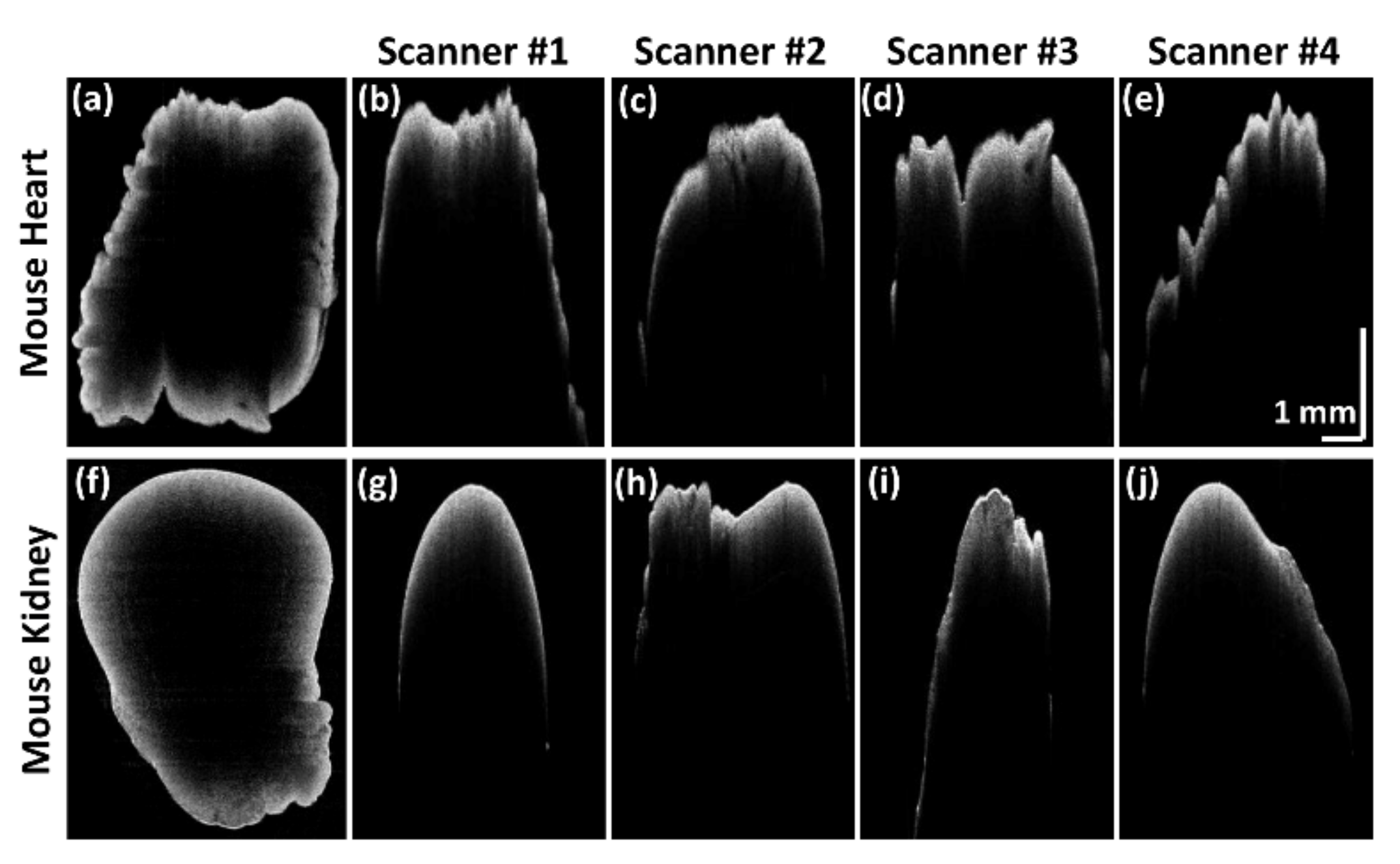 Sensors 21 01305 g007