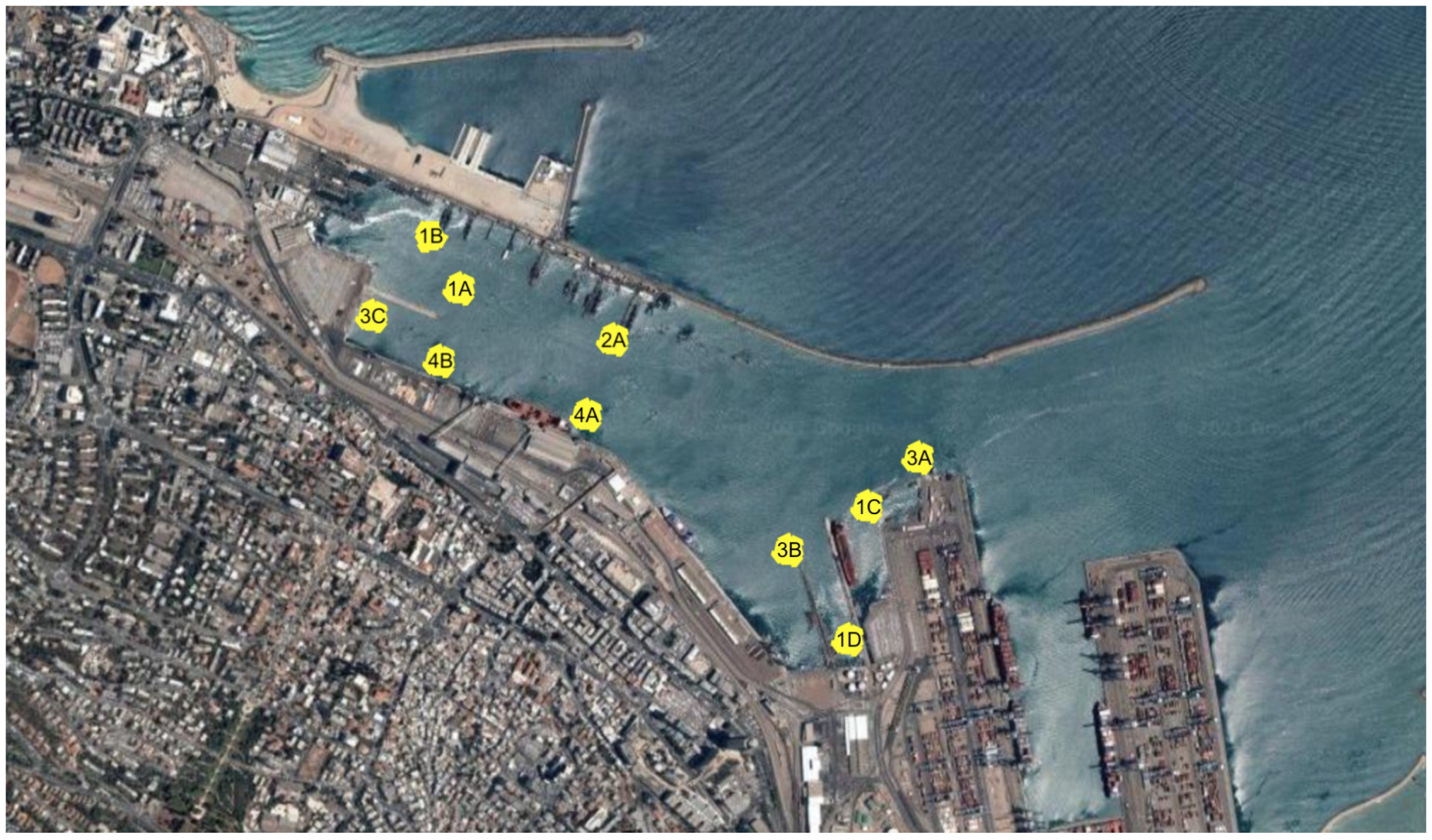 Sensors 21 01306 g008