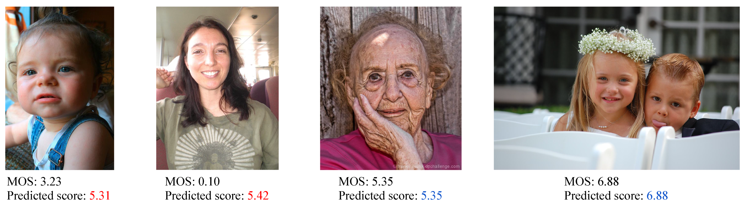 Sensors 21 01307 g014