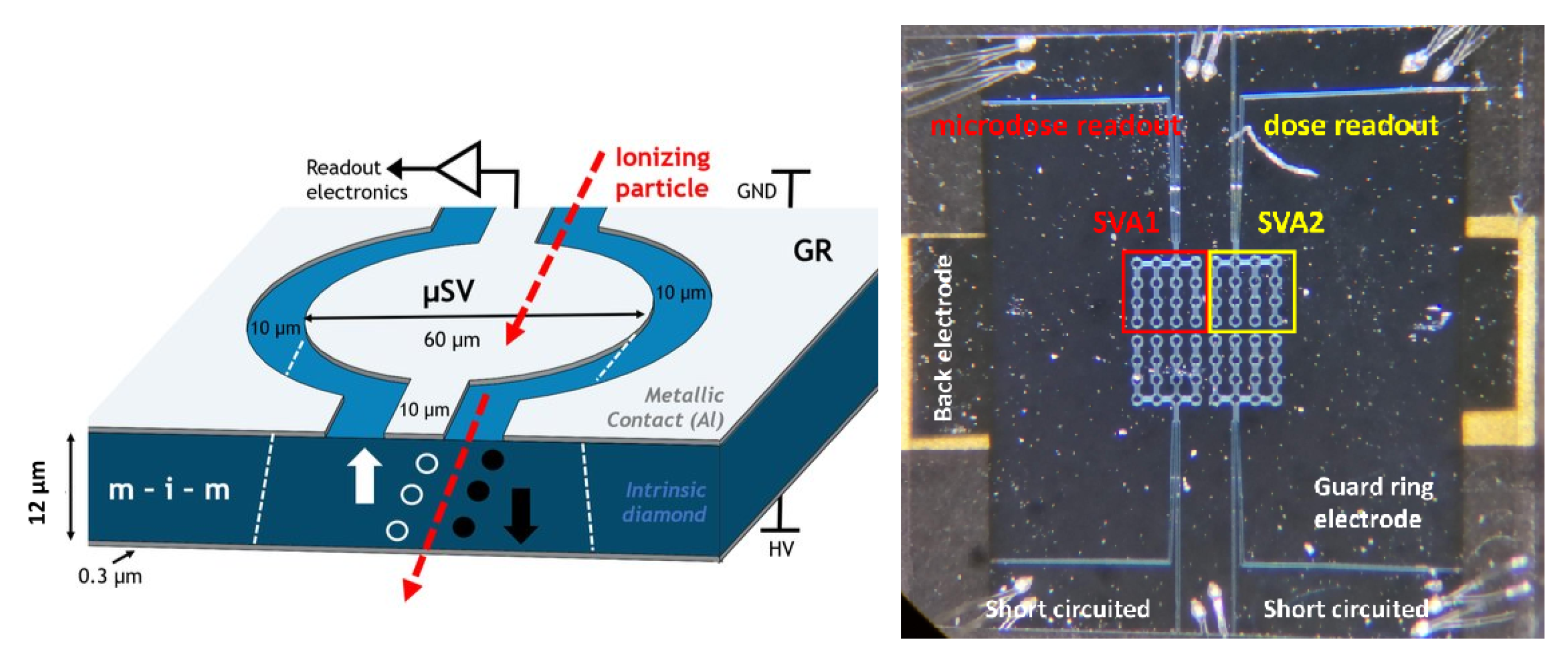 Sensors 21 01314 g001