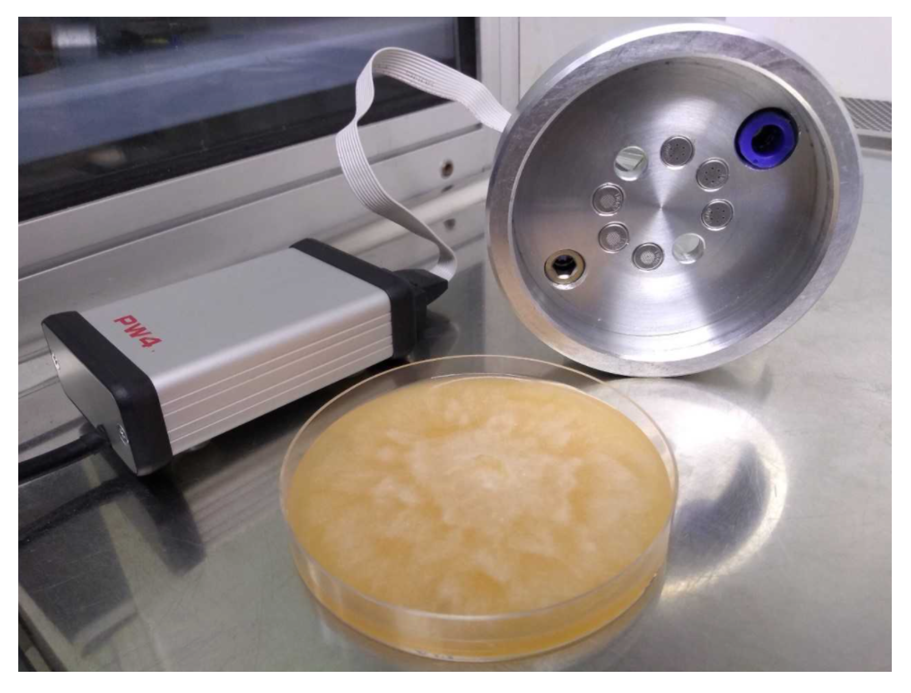 Sensors 21 01326 g001 Sensors 21 01326 g001