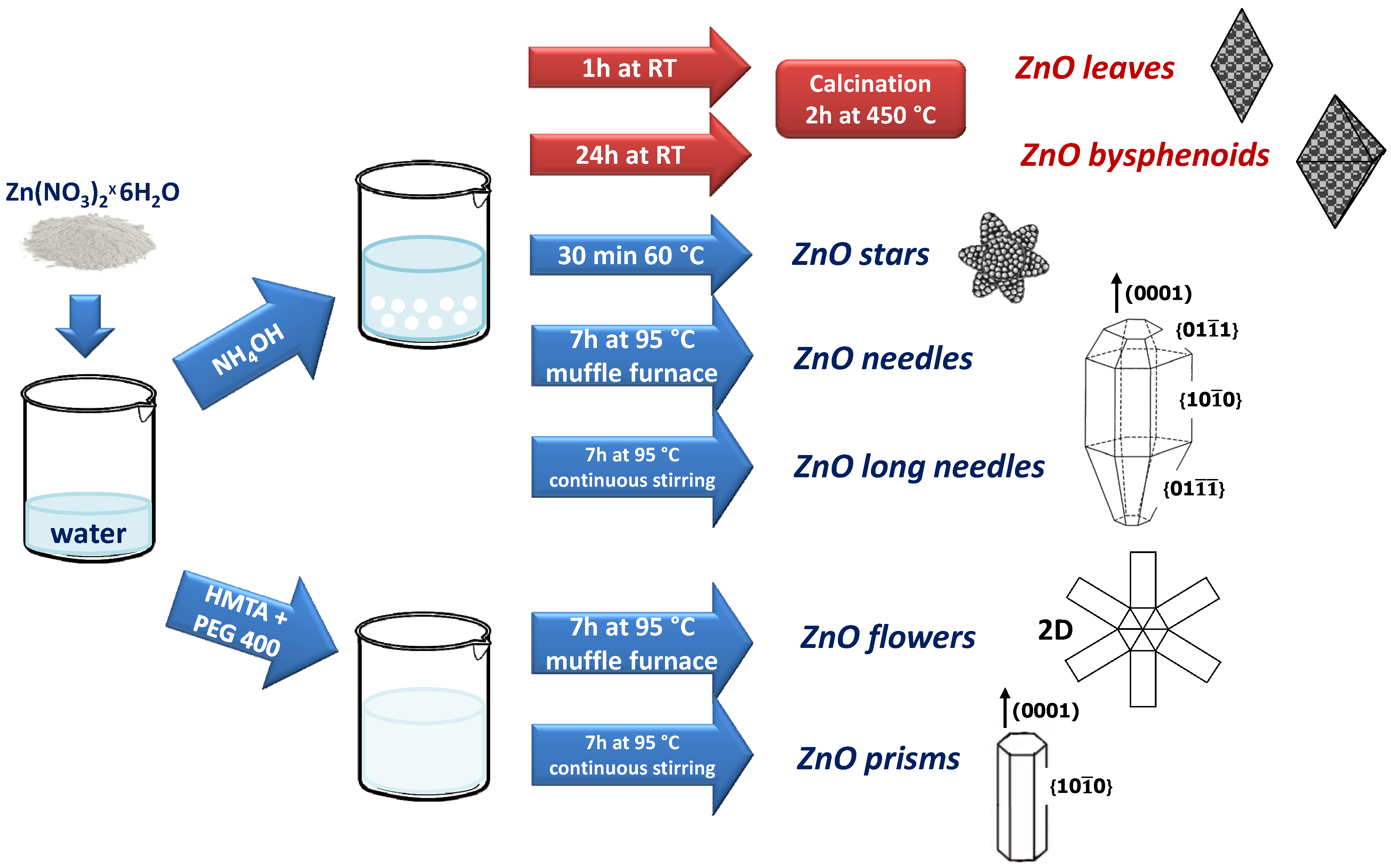 Sensors 21 01331 g001