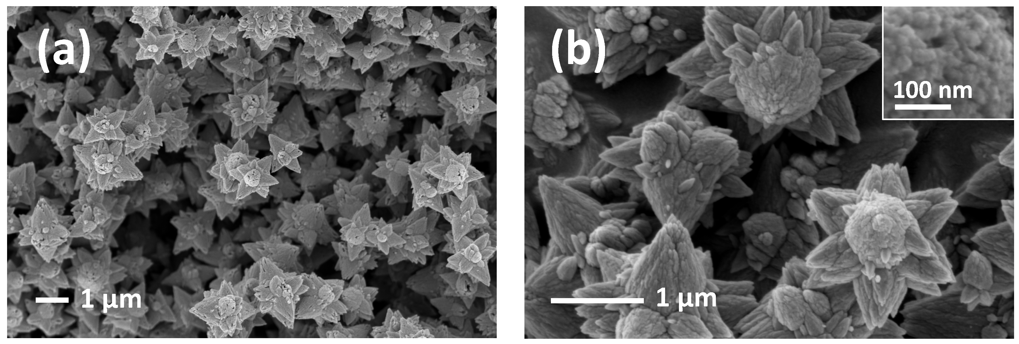 Sensors 21 01331 g003