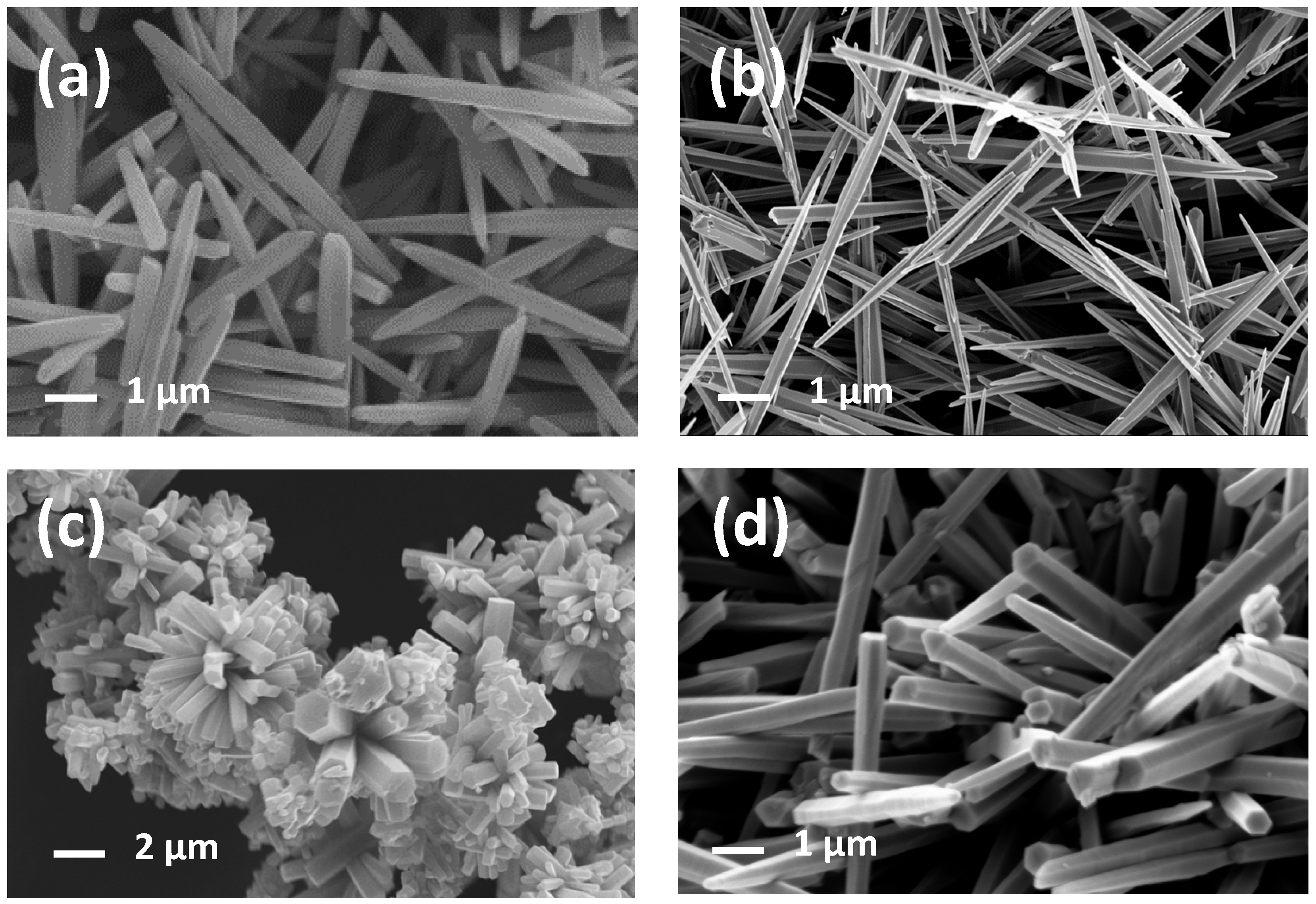 Sensors 21 01331 g004