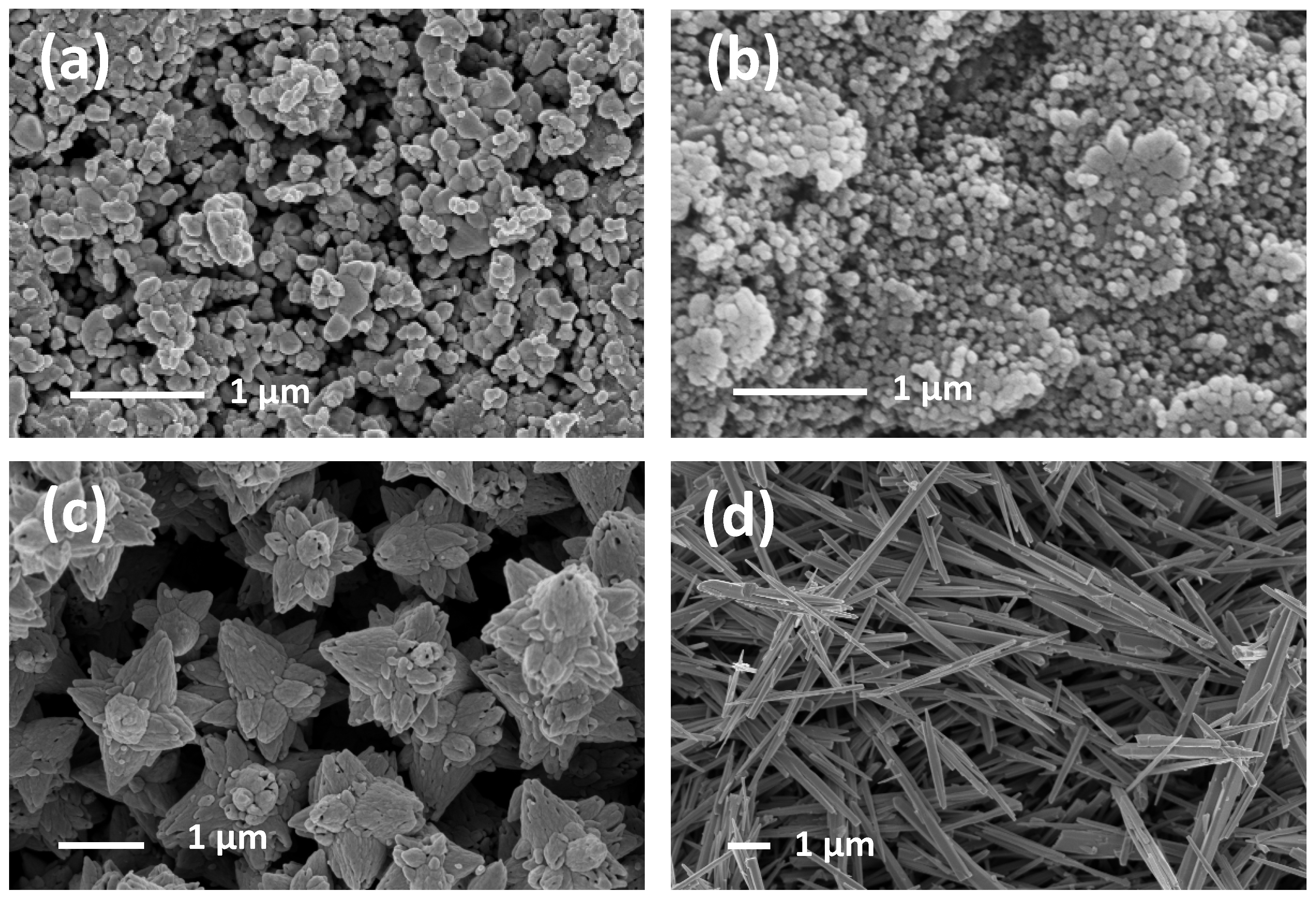 Sensors 21 01331 g007