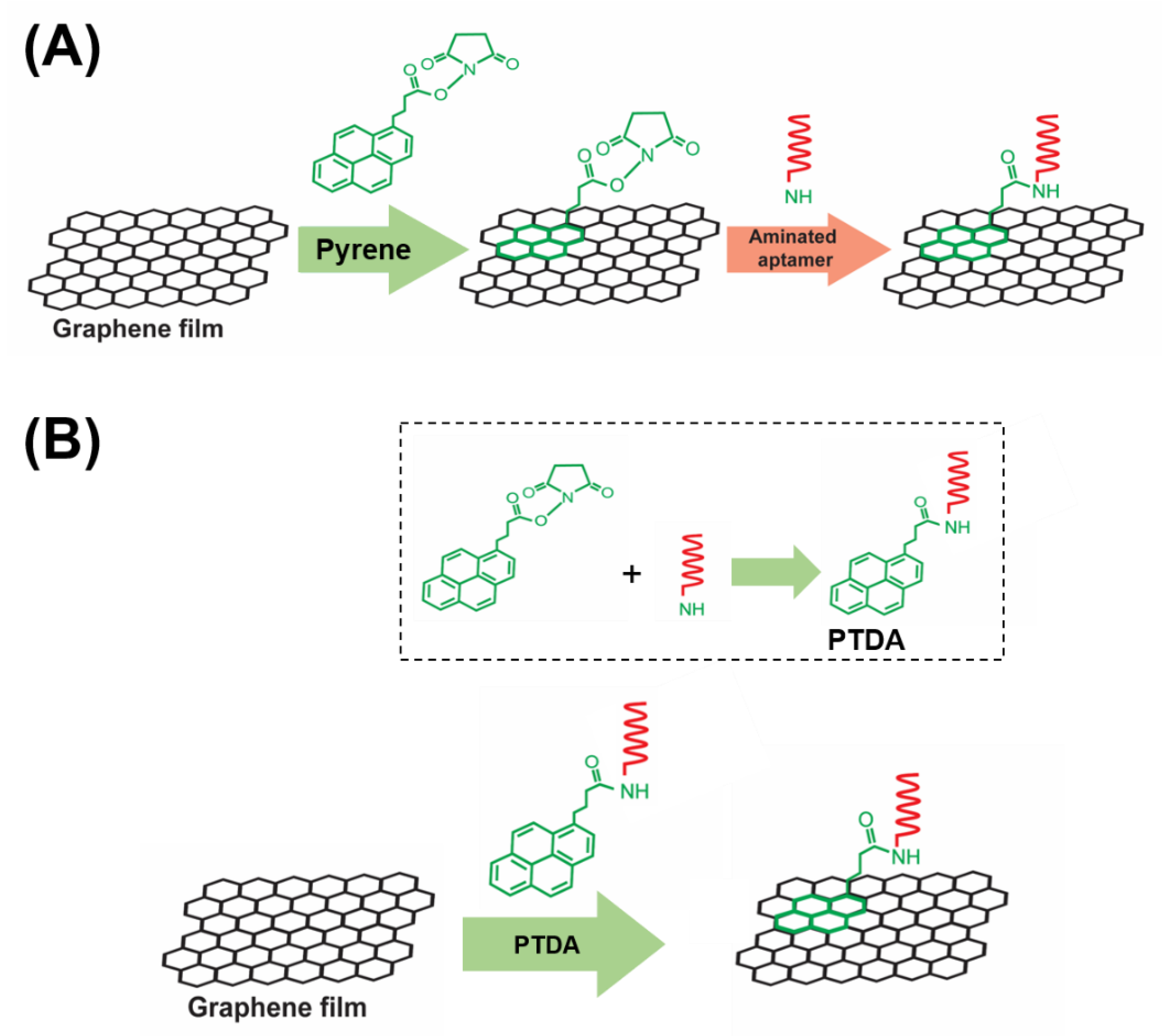 Sensors 21 01335 g001 Sensors 21 01335 g001