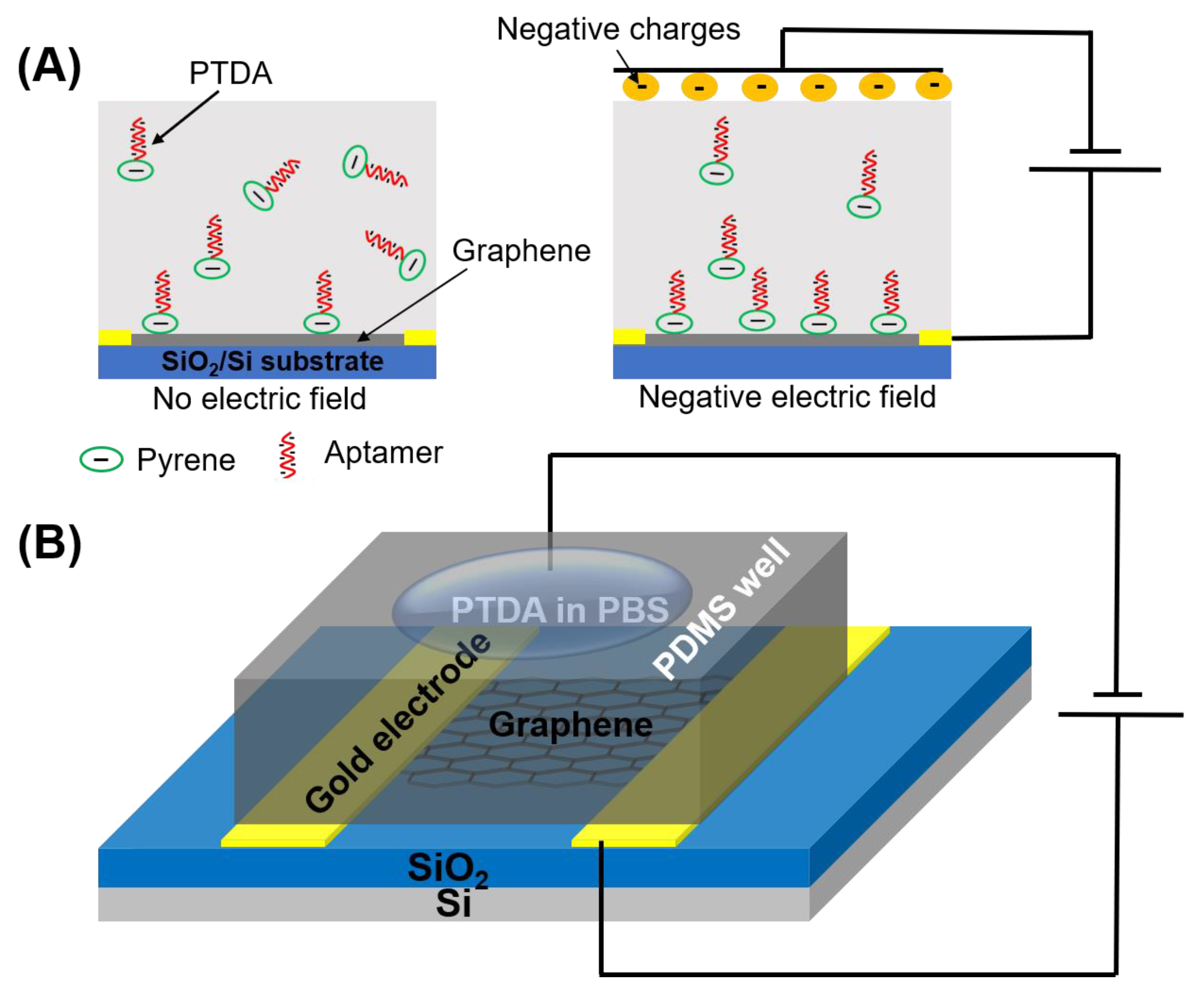 Sensors 21 01335 g002 Sensors 21 01335 g002