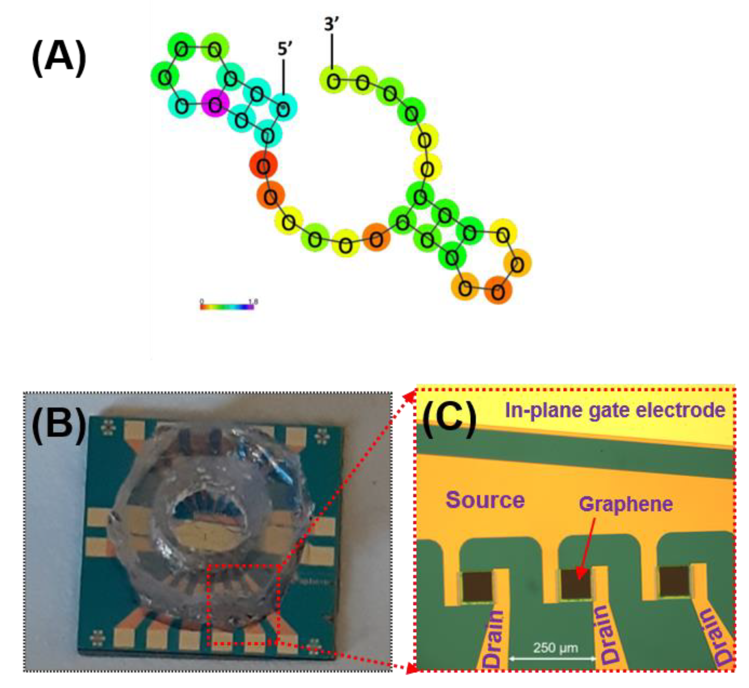 Sensors 21 01335 g003 Sensors 21 01335 g003