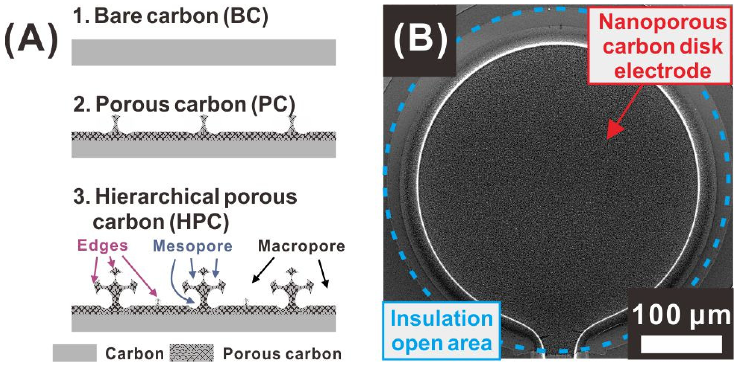 Sensors 21 01346 g002