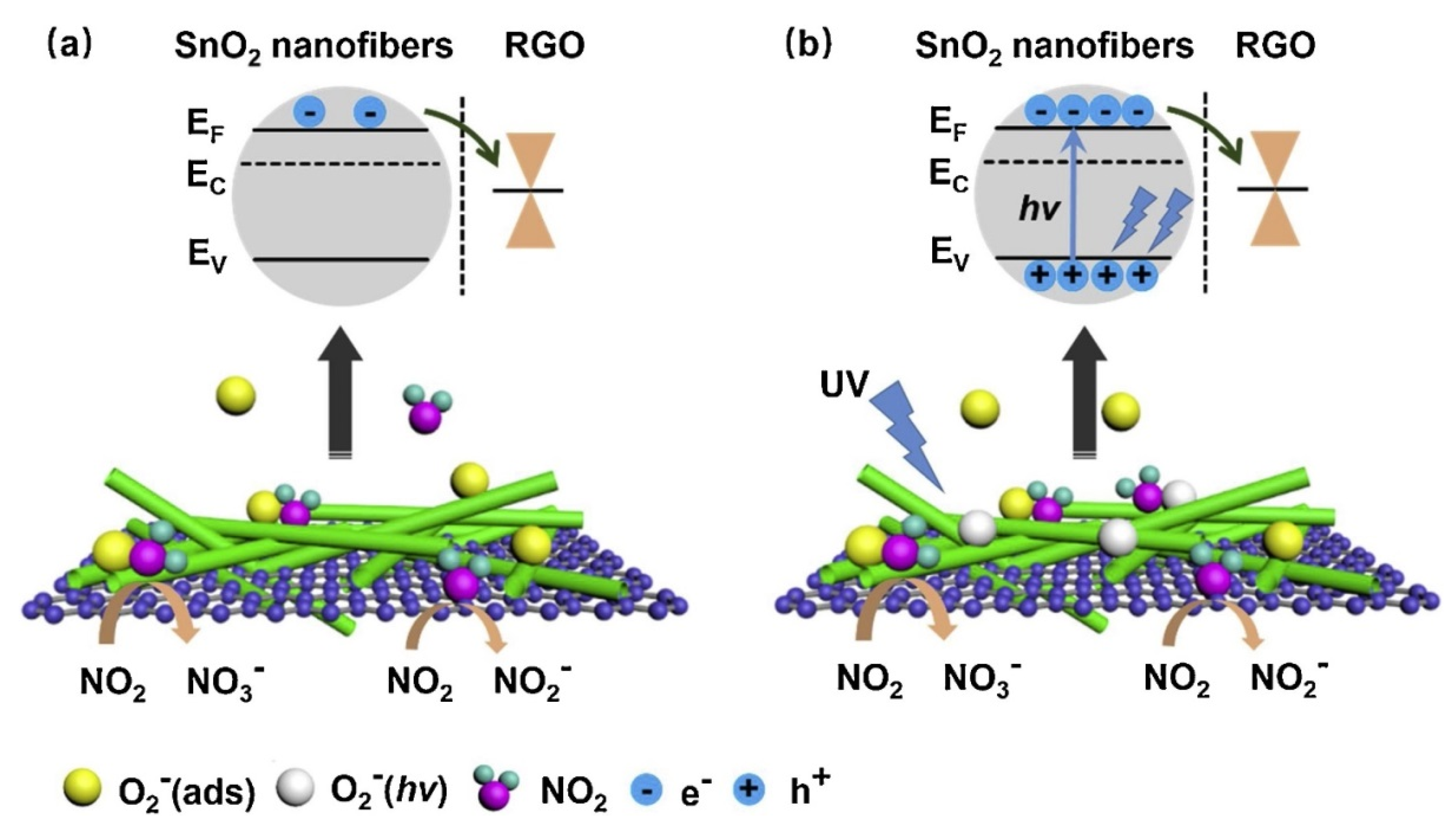 Sensors 21 01352 g012