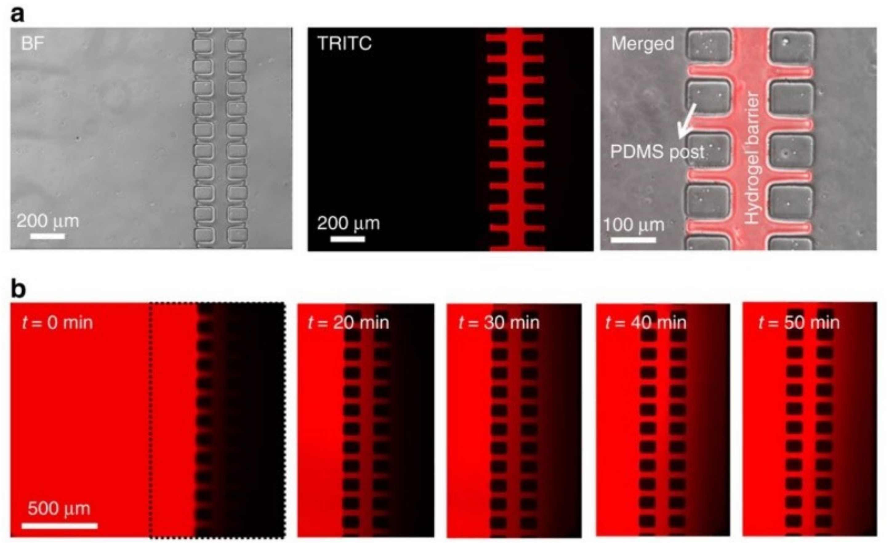 Sensors 21 01367 g003 Sensors 21 01367 g003