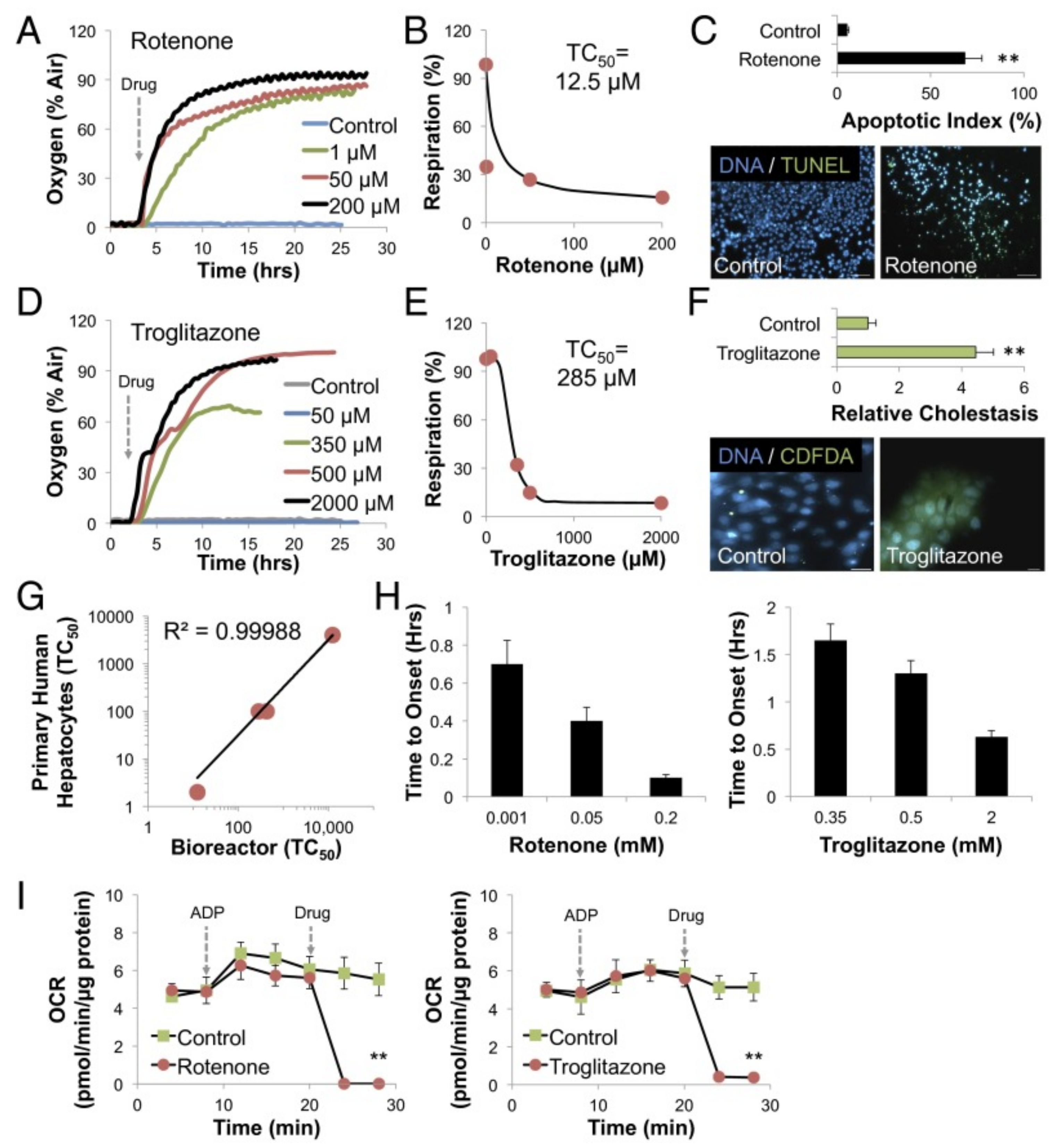 Sensors 21 01367 g004 Sensors 21 01367 g004