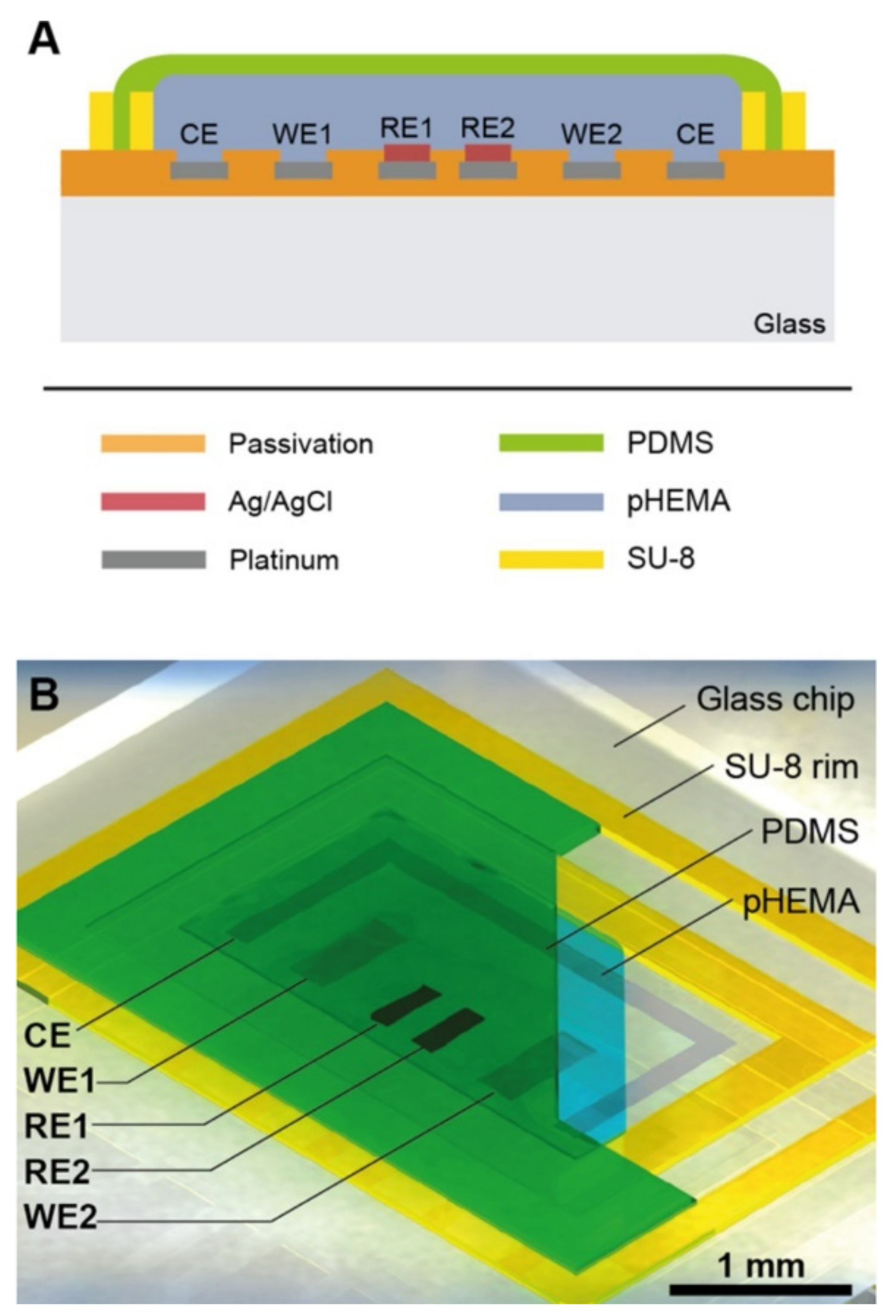 Sensors 21 01367 g005 Sensors 21 01367 g005
