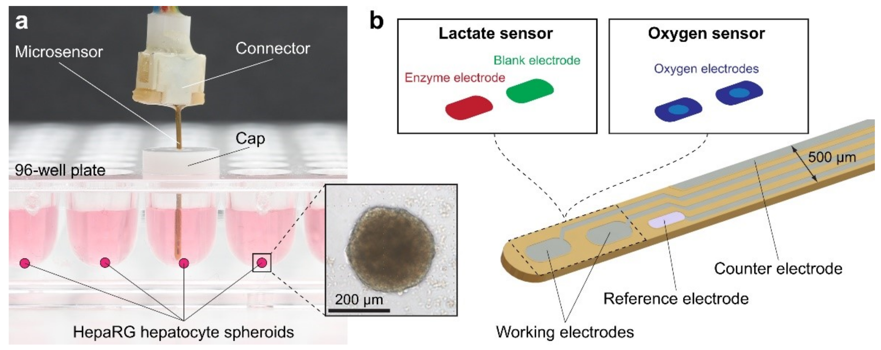Sensors 21 01367 g006 Sensors 21 01367 g006