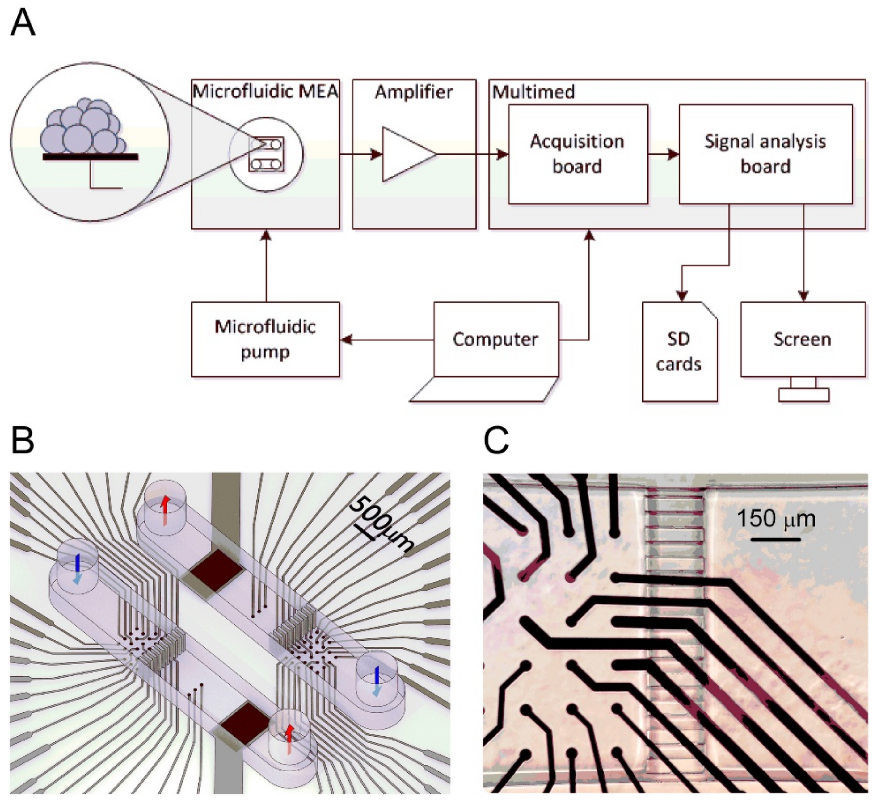 Sensors 21 01367 g007 Sensors 21 01367 g007
