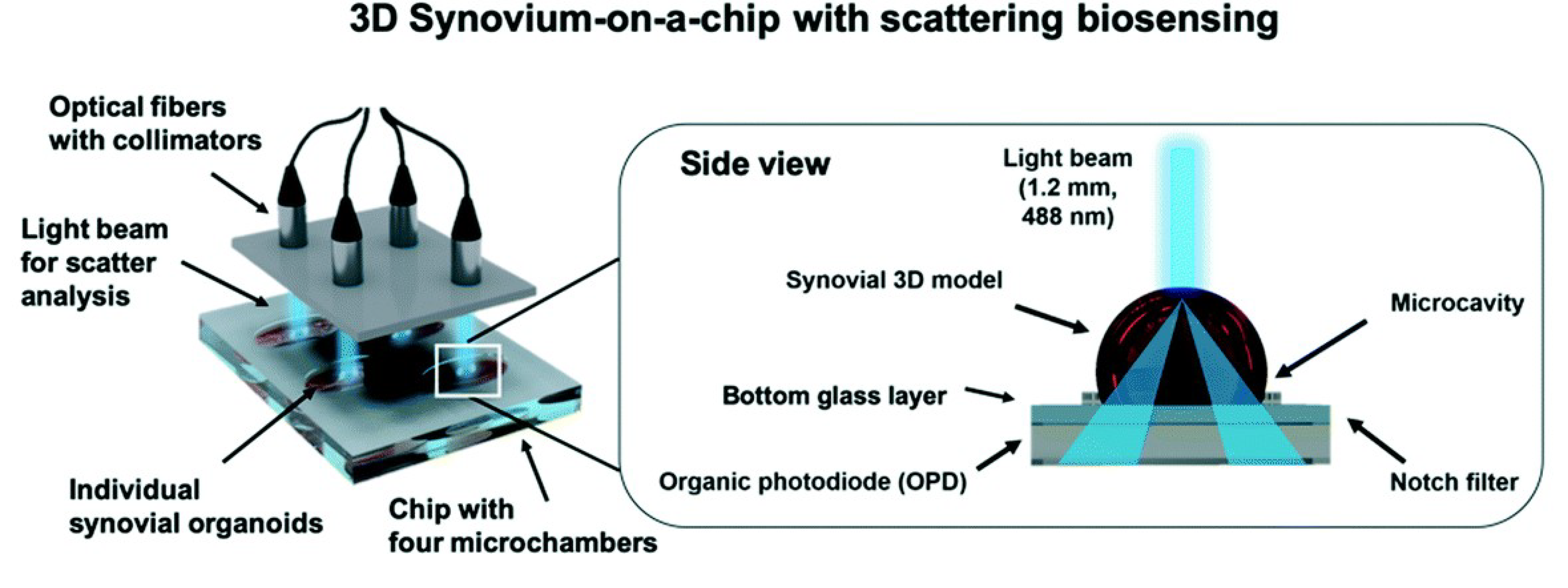 Sensors 21 01367 g008 Sensors 21 01367 g008