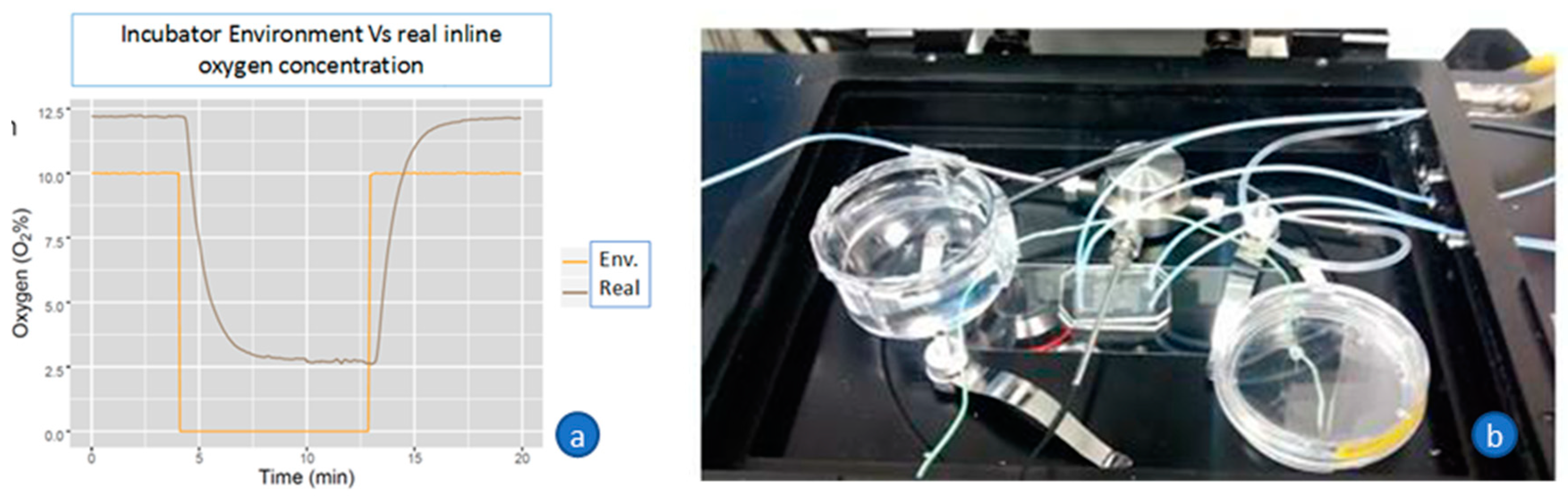 Sensors 21 01382 g0a2