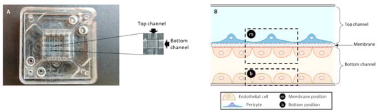 Sensors 21 01382 g0a3
