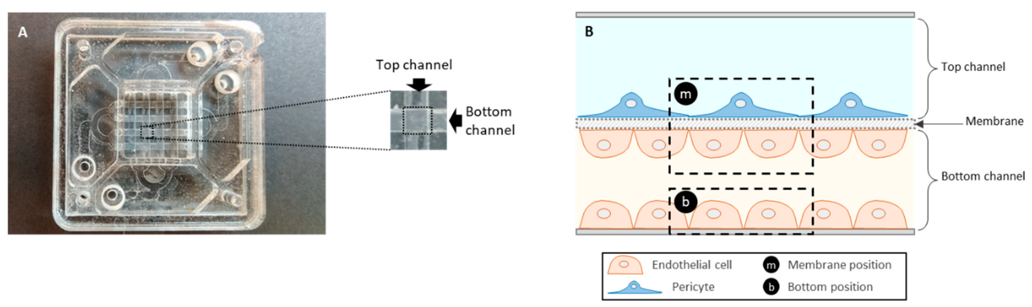 Sensors 21 01382 g0a3