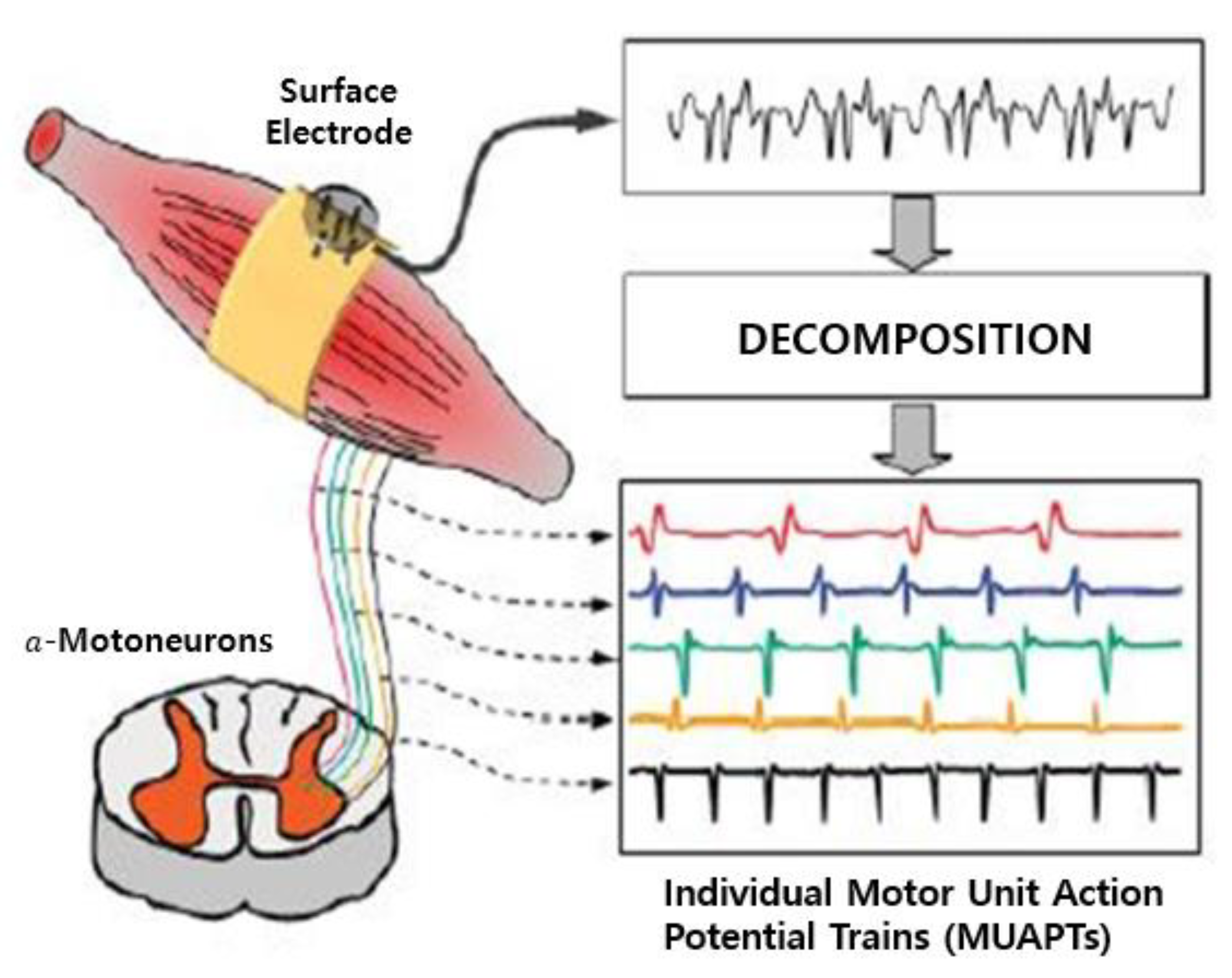 Sensors 21 01399 g002