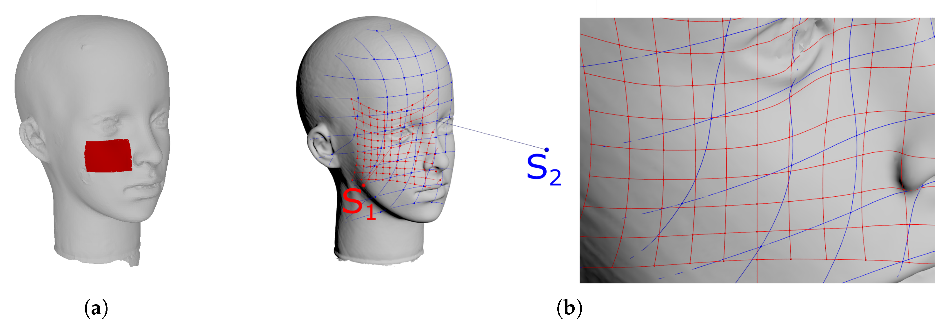 Sensors 21 01407 g003