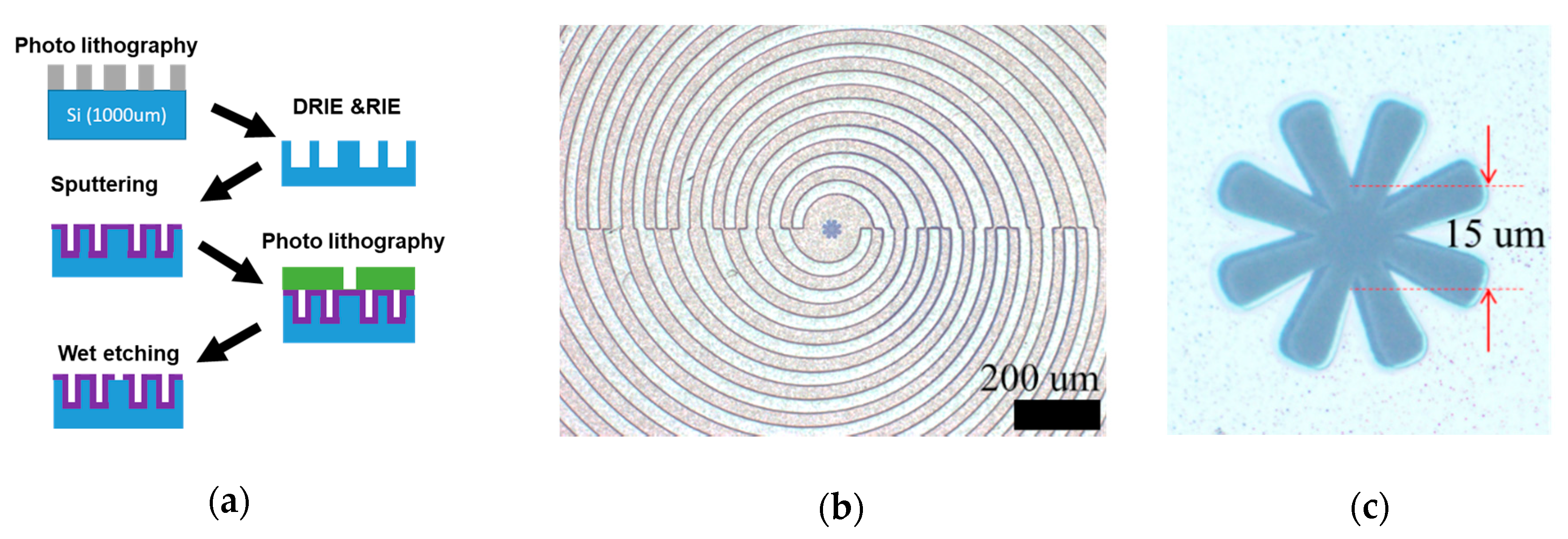 Sensors 21 01419 g002 Sensors 21 01419 g002