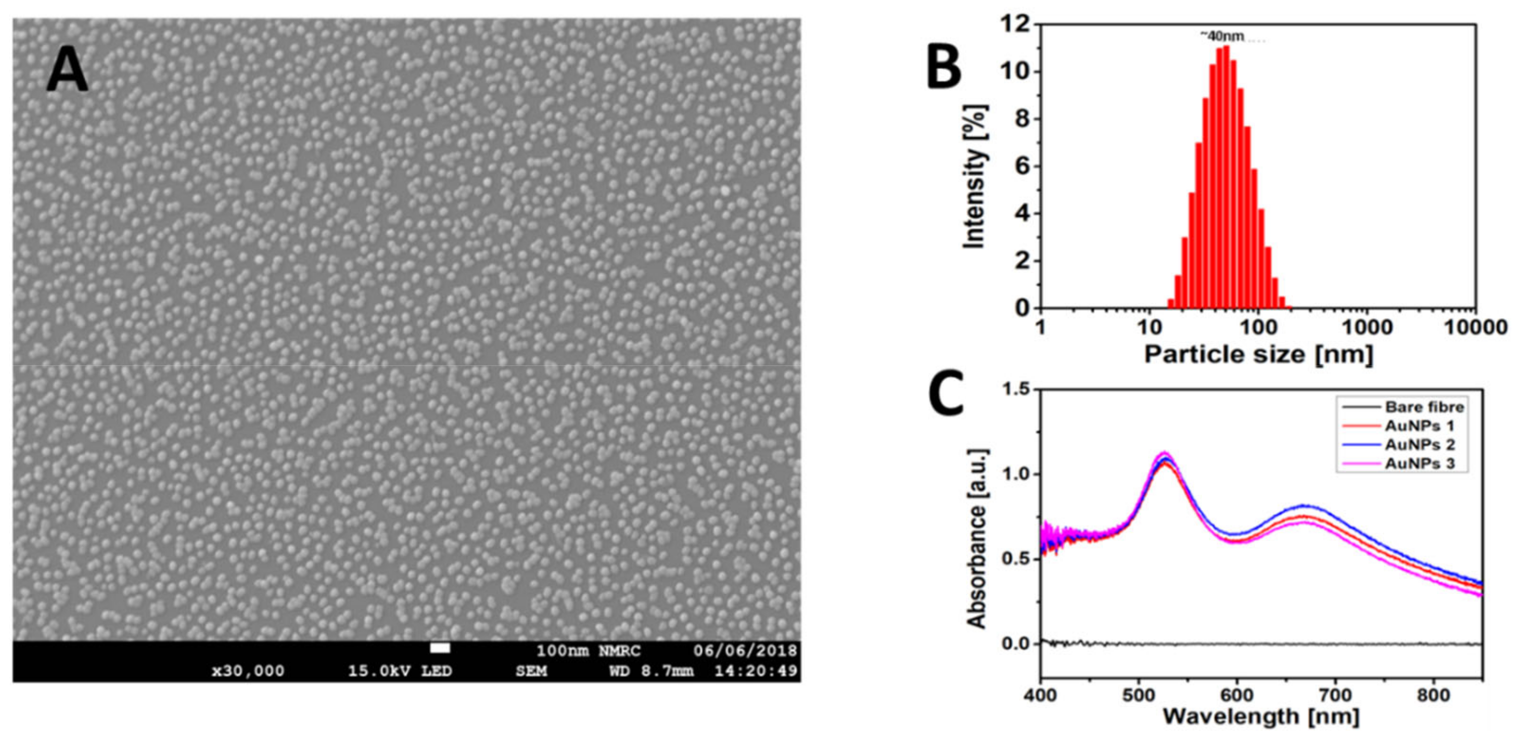 Sensors 21 01420 g004