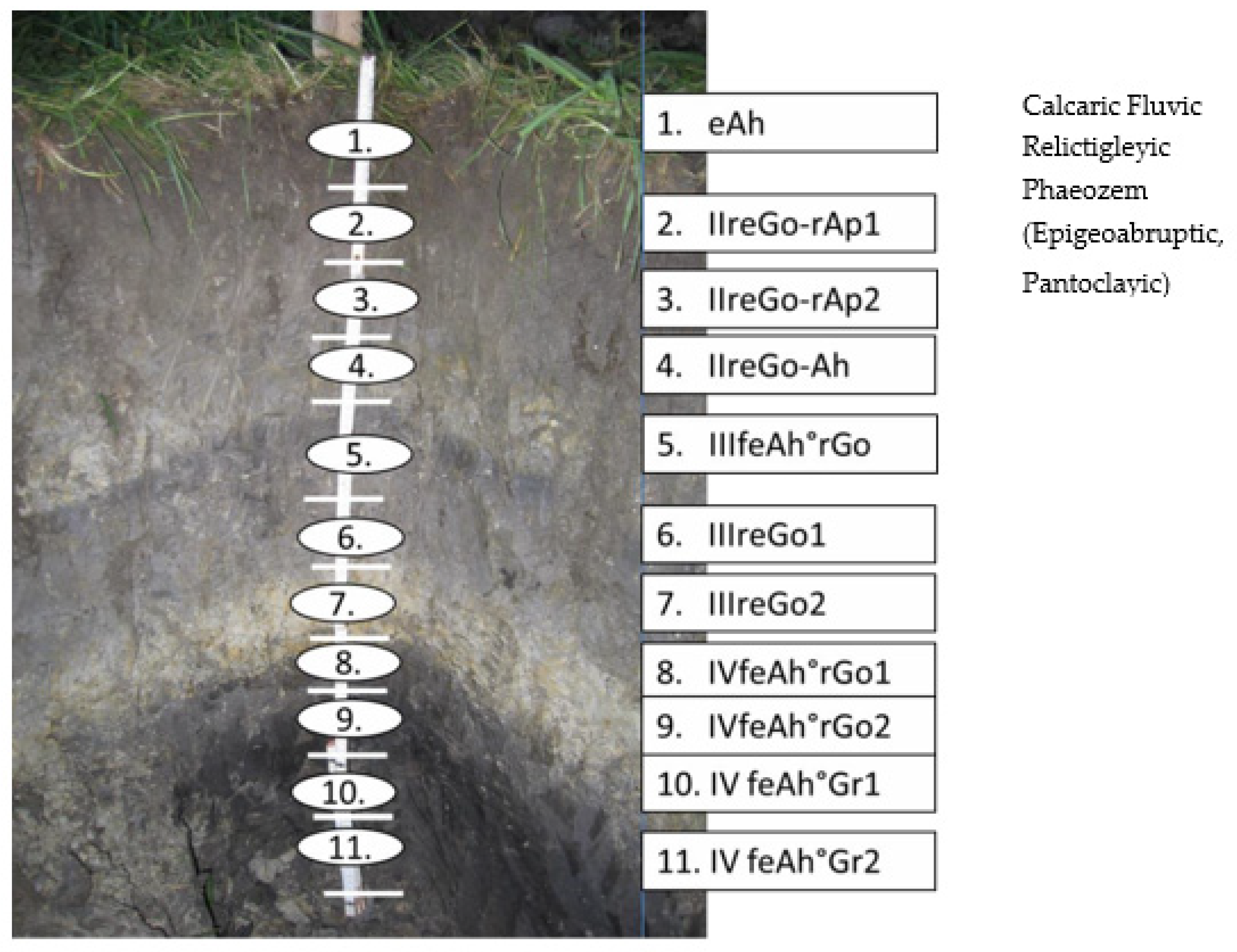 Sensors 21 01423 g002