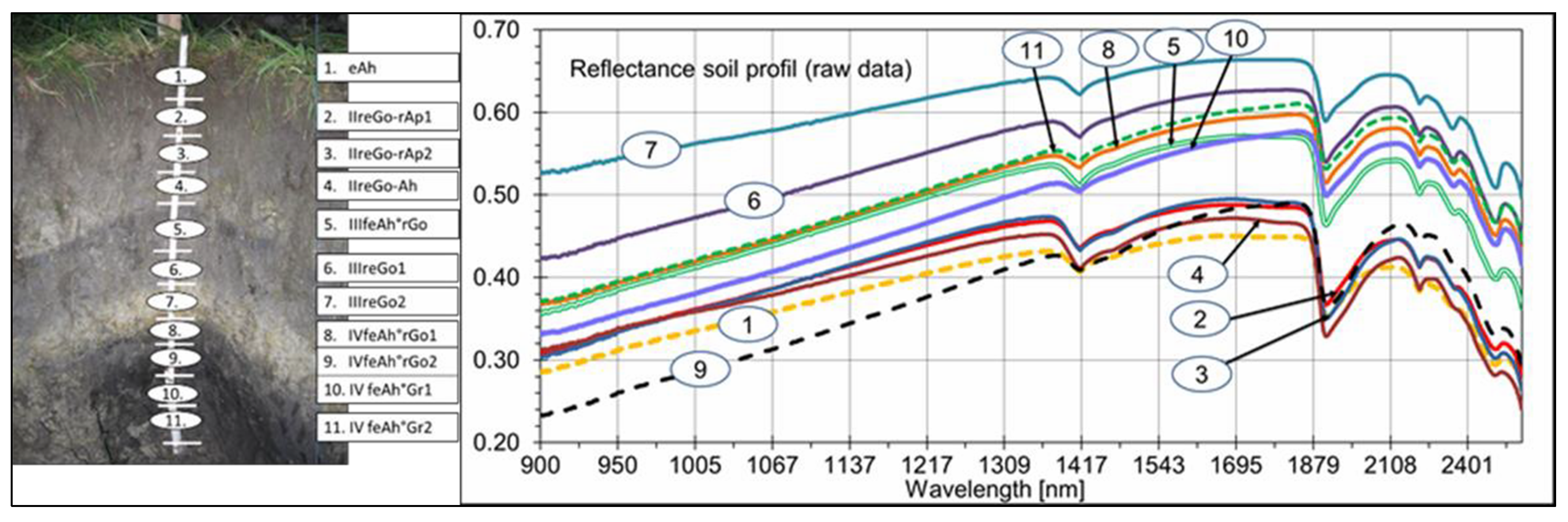Sensors 21 01423 g005
