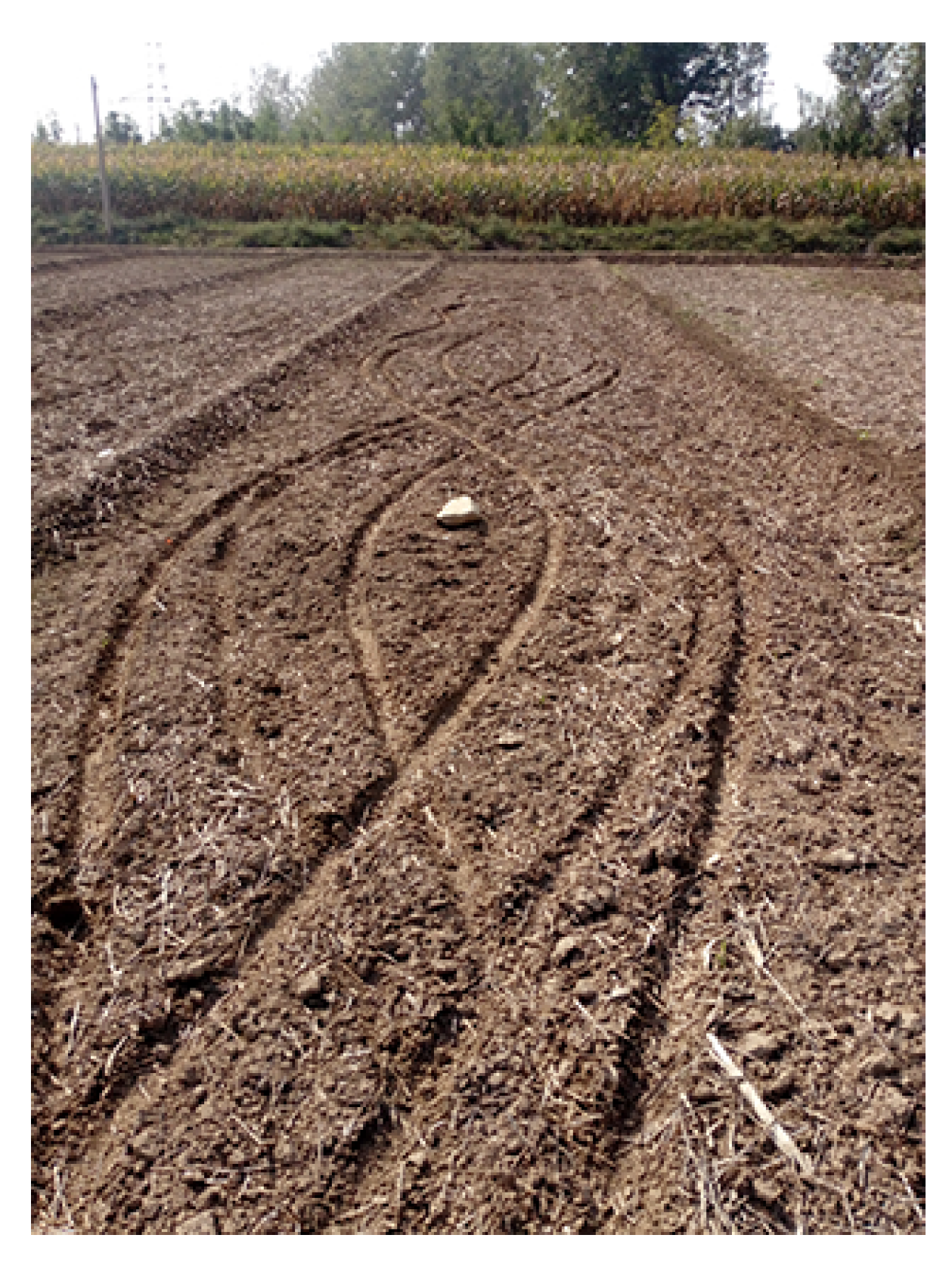 Sensors 21 01424 g005