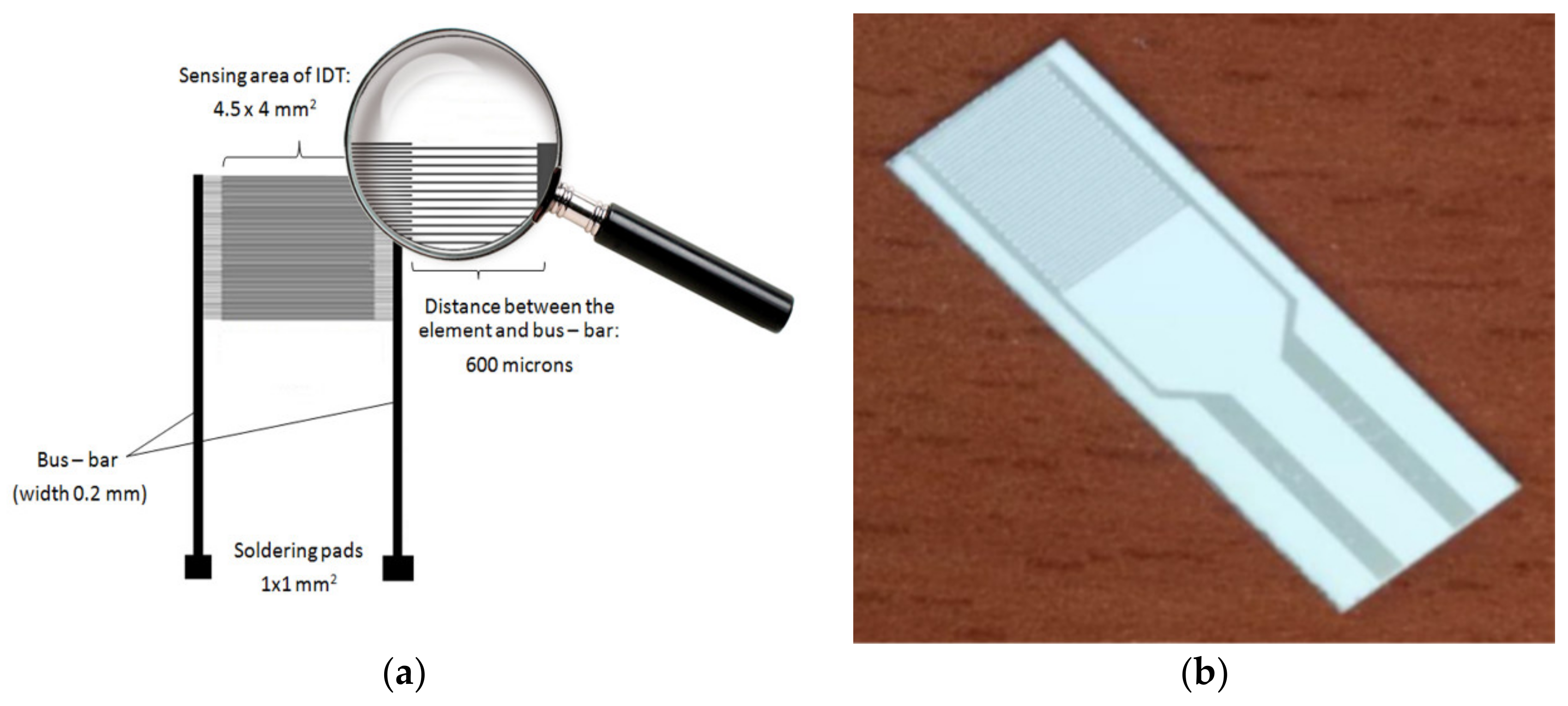 Sensors 21 01435 g002