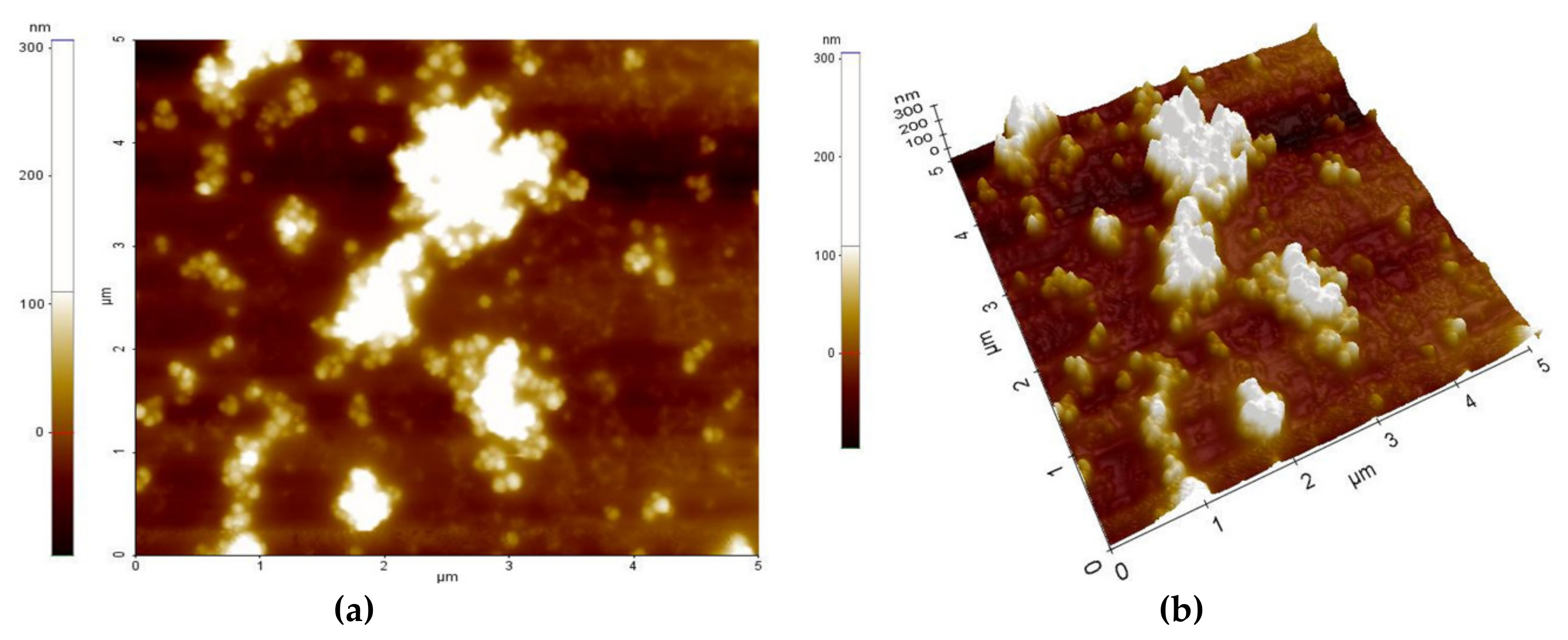 Sensors 21 01435 g004