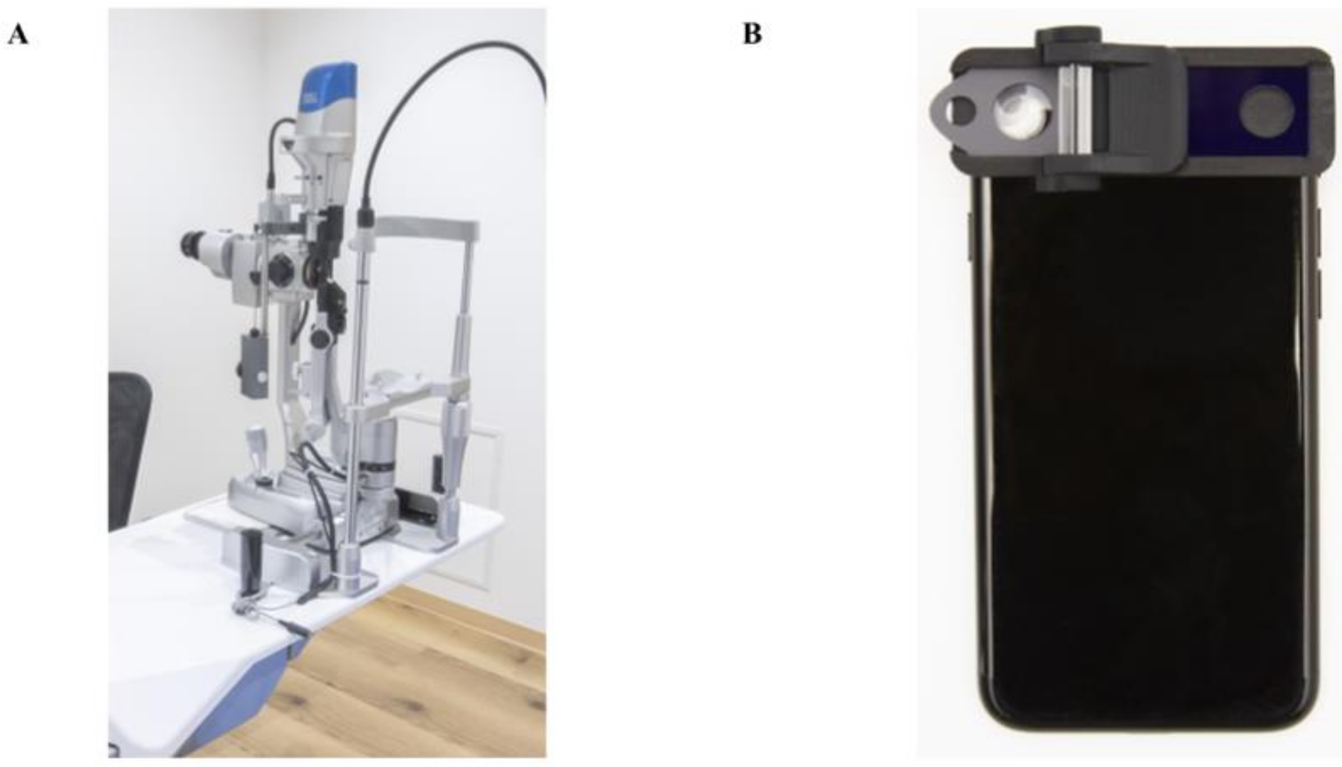 Sensors 21 01436 g001