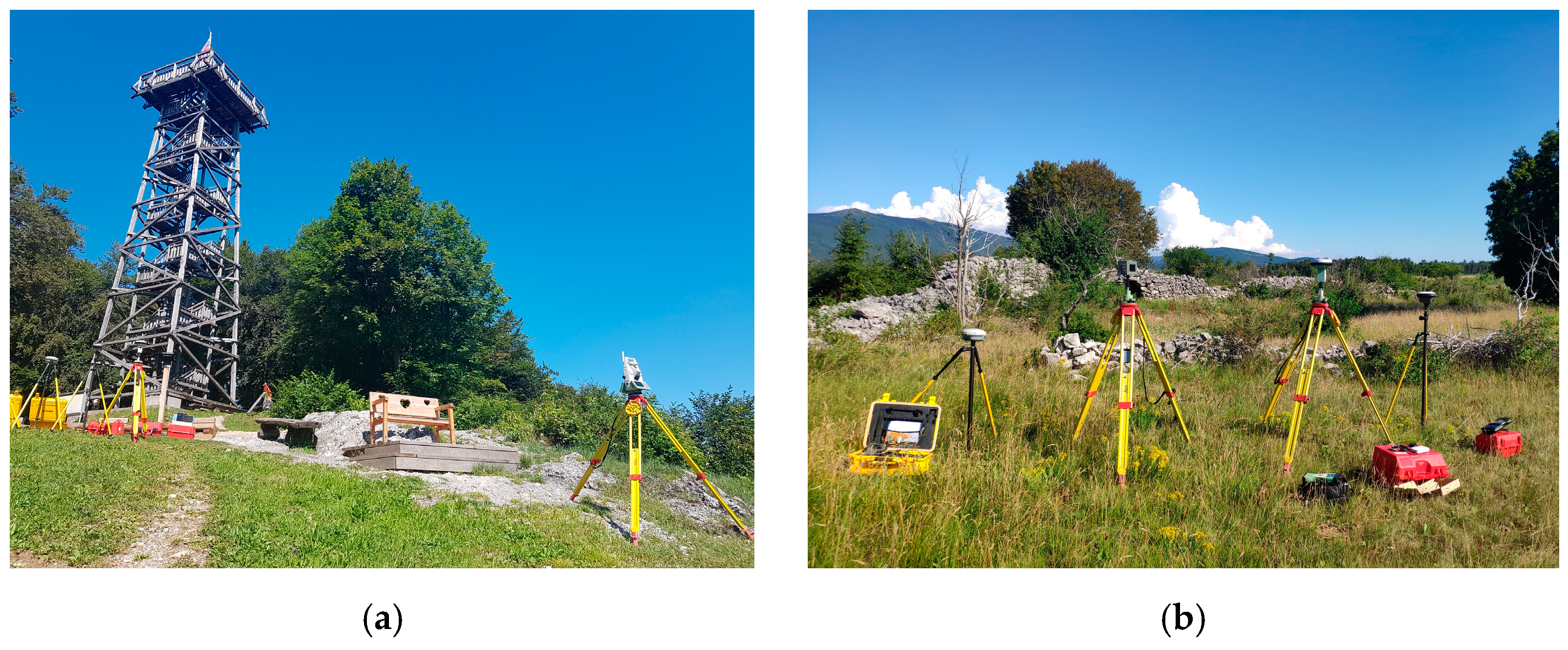 Sensors 21 01446 g001 Sensors 21 01446 g001