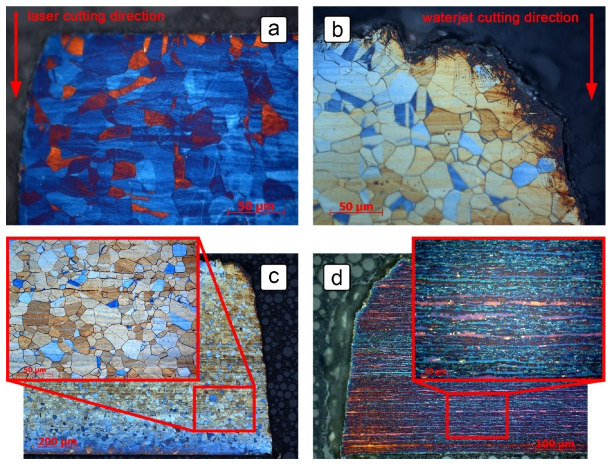 Sensors 21 01449 g004