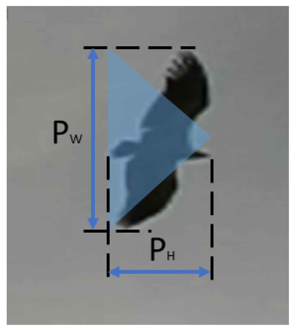 Sensors 21 01464 g008
