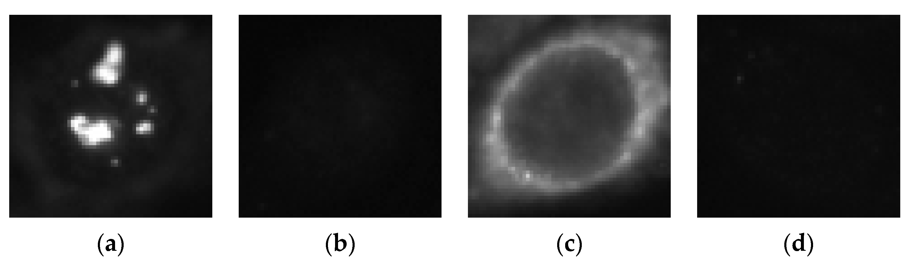 Sensors 21 01469 g001 Sensors 21 01469 g001