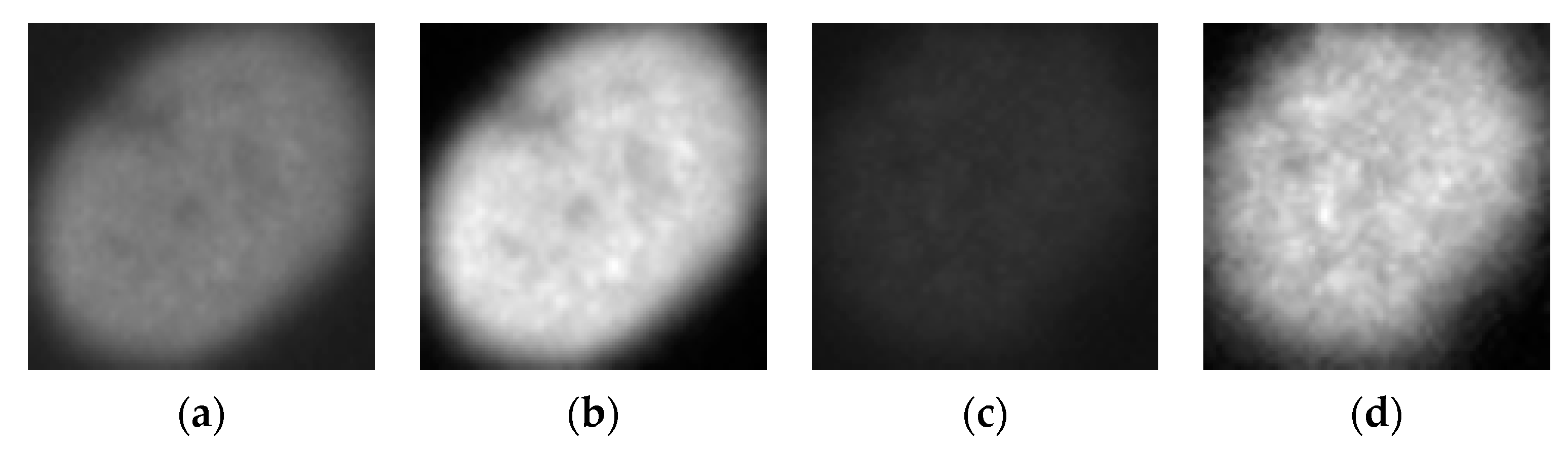 Sensors 21 01469 g003 Sensors 21 01469 g003