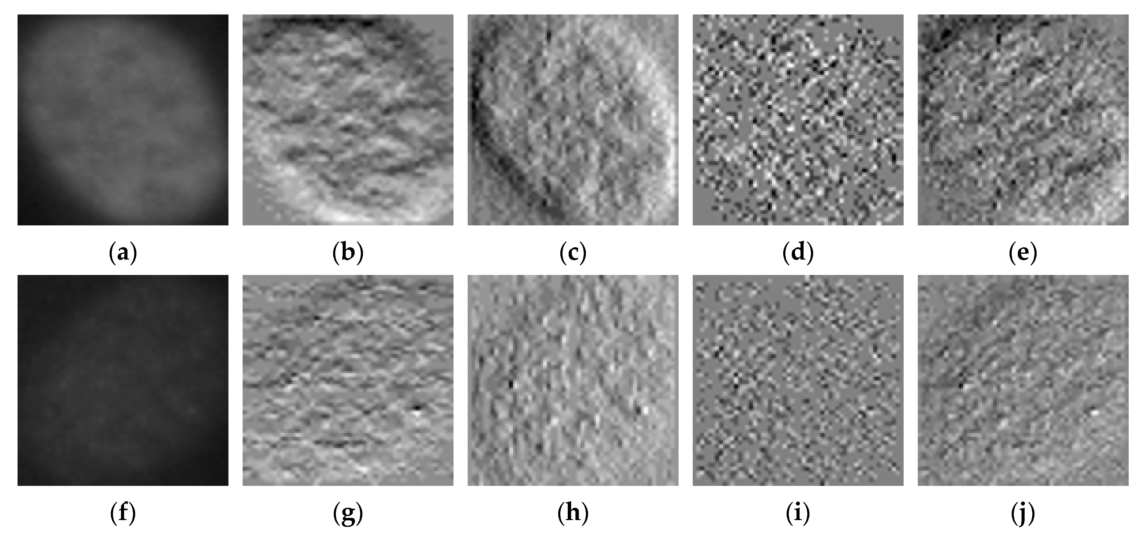 Sensors 21 01469 g004 Sensors 21 01469 g004