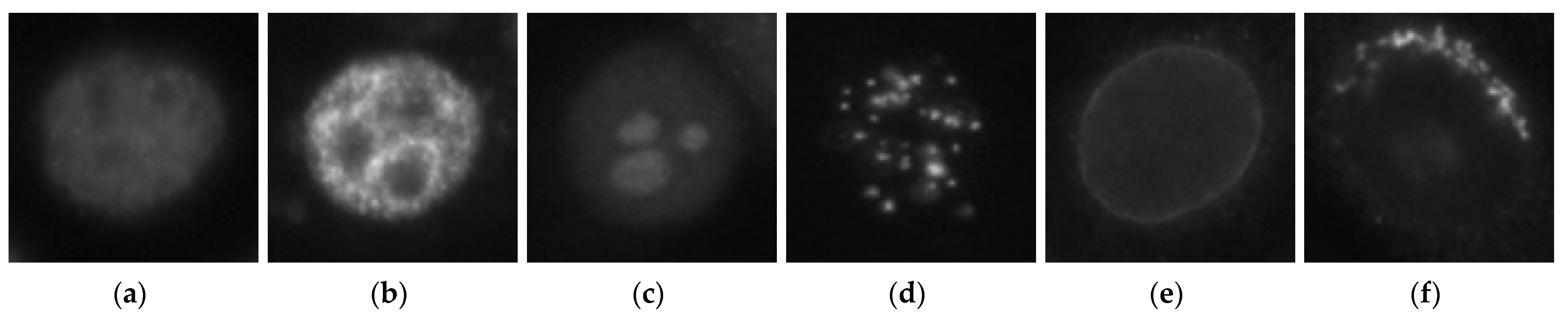 Sensors 21 01469 g009 Sensors 21 01469 g009