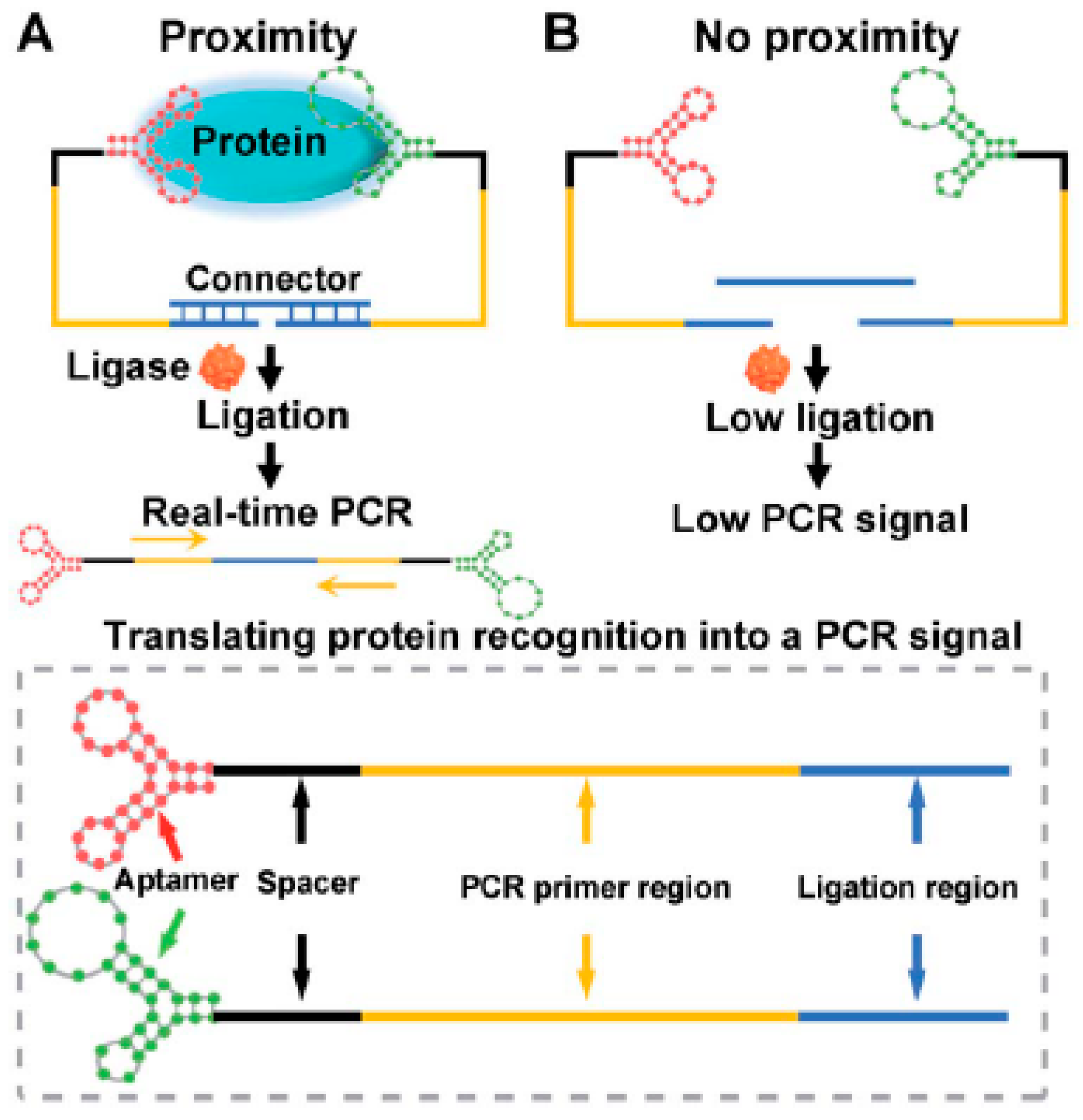 Sensors 21 01485 g002