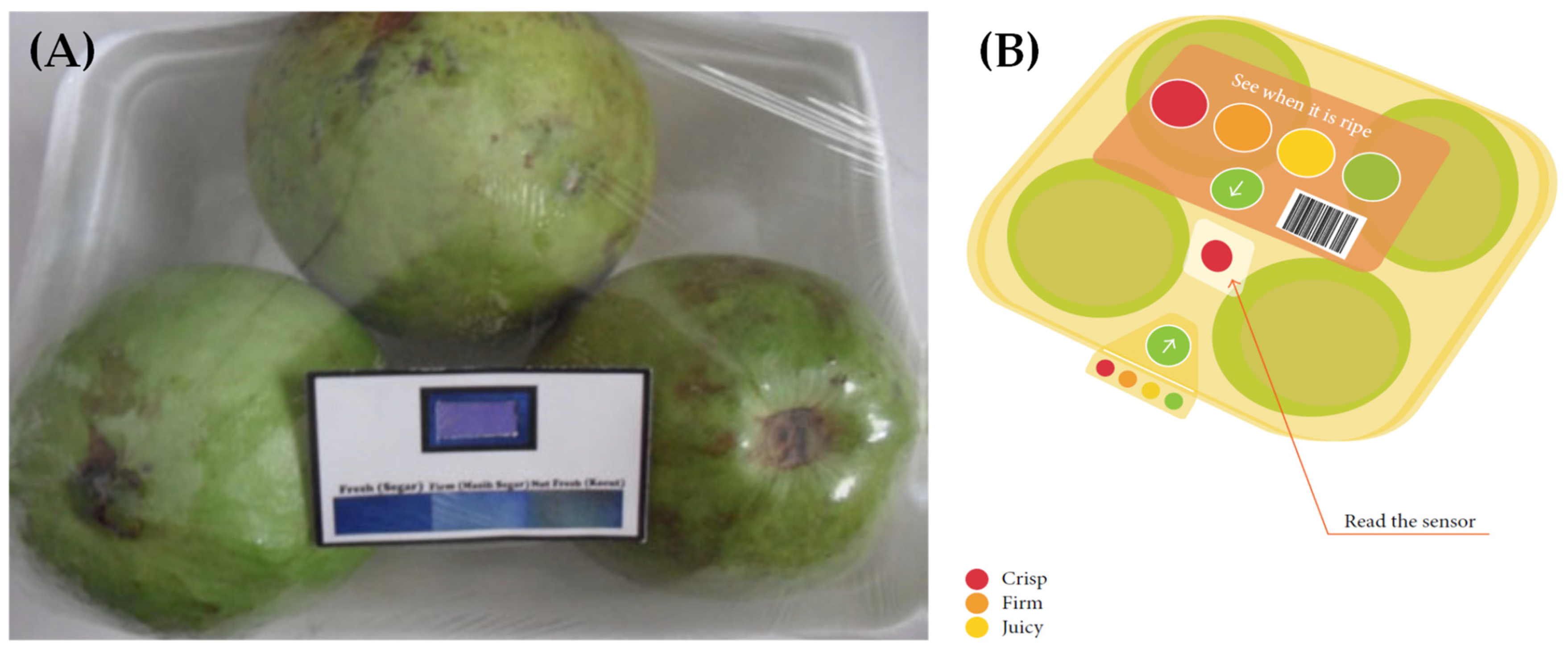 Sensors 21 01509 g004