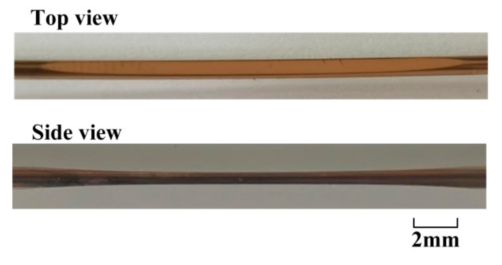 Sensors 21 01516 g006