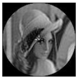 Sensors 21 01544 i001