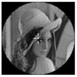 Sensors 21 01544 i003