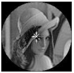 Sensors 21 01544 i004