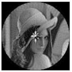 Sensors 21 01544 i005