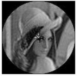 Sensors 21 01544 i007