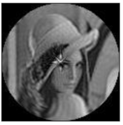 Sensors 21 01544 i008