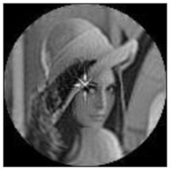 Sensors 21 01544 i009